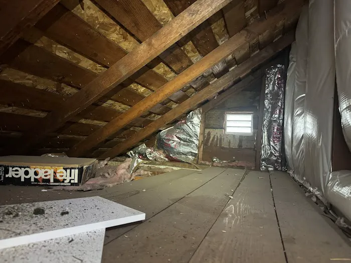 MoldEaters Picture 1