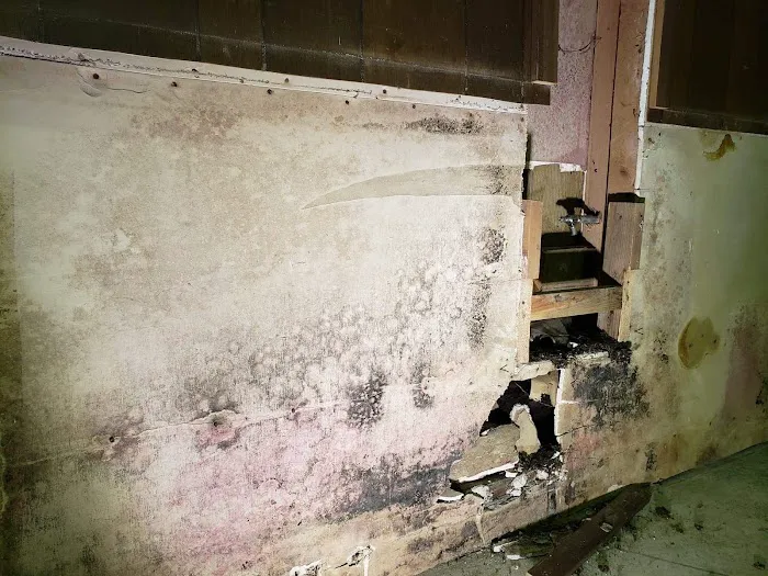 MoldEaters Picture 7