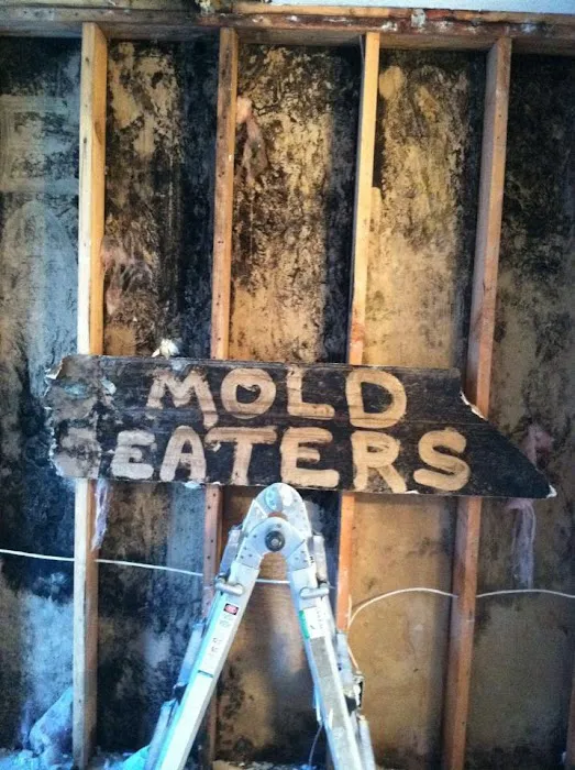 MoldEaters Picture 2