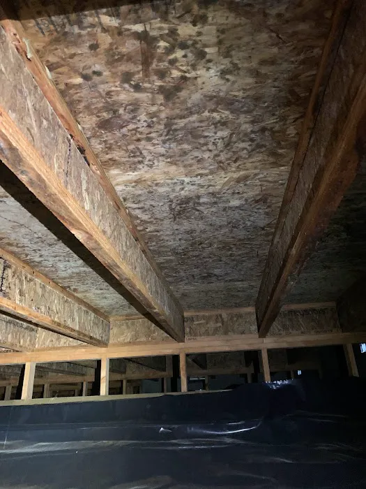 MoldEaters Picture 9