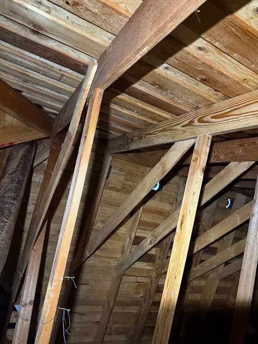 MoldEaters Picture 6