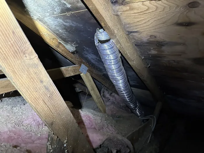 MoldEaters Picture 5