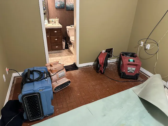 MoldEaters Picture 3