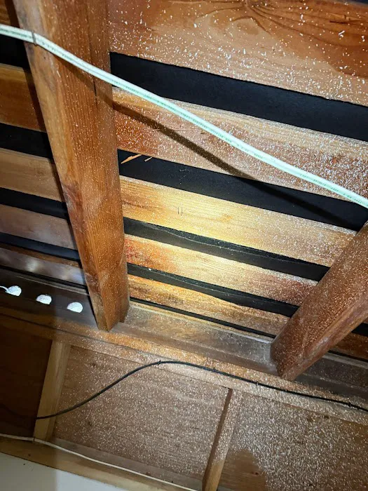 MoldEaters Picture 10