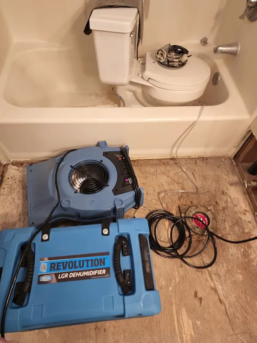 Dryworx Water Damage Restoration Picture 3