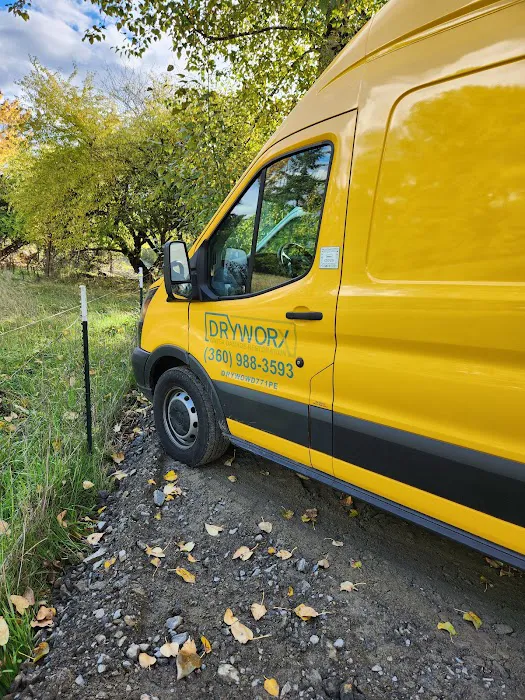 Dryworx Water Damage Restoration Picture 9