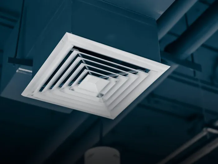 Vital Restoration Picture 1