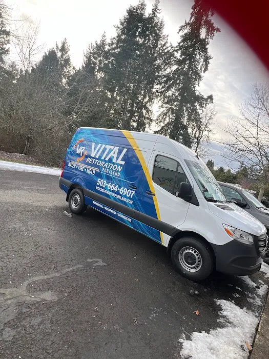 Vital Restoration Picture 9