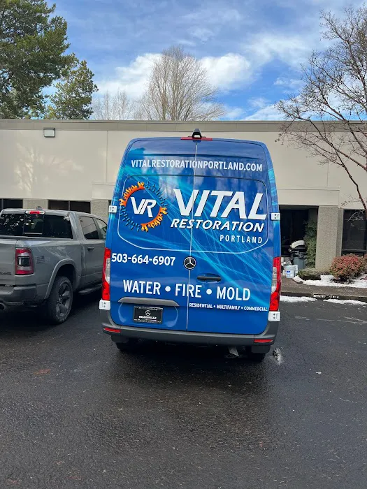 Vital Restoration Picture 4