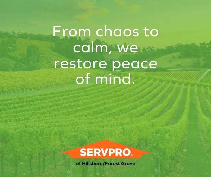 SERVPRO of Hillsboro/Forest Grove Picture 5