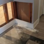 BELFOR Property Restoration