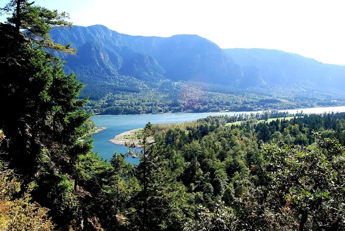 New Leaf Crawl Space Solutions Picture 10