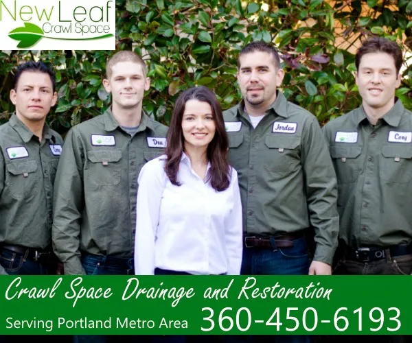 New Leaf Crawl Space Solutions Picture 6