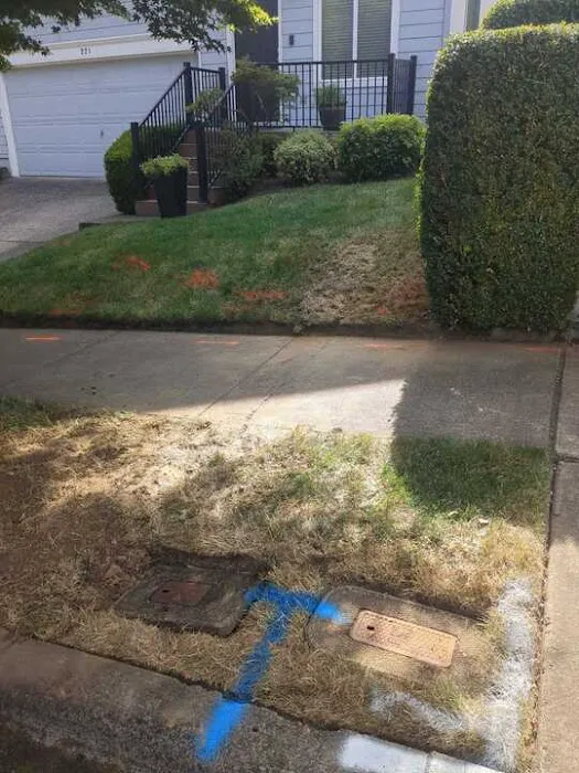 Pilot Plumbing And Drain Picture 4