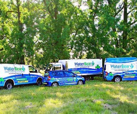 Water Bear Cleaning & Restoration