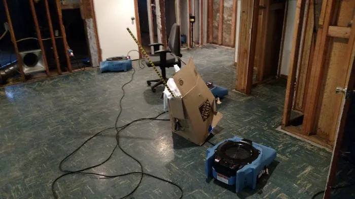 Water Bear Cleaning & Restoration Picture 2