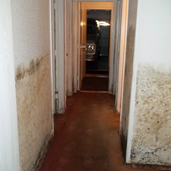 Brighten Restoration LLC Picture 5