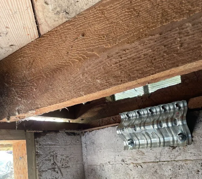 Your Crawl Space Guys Picture 10