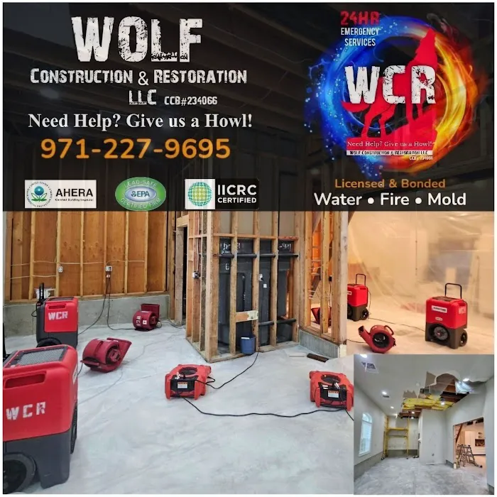 Wolf Construction & Restoration LLC Picture 6