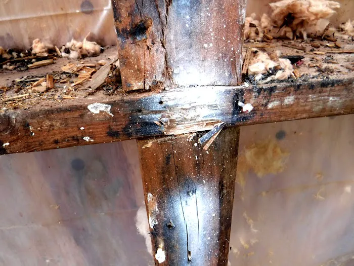 SFW Construction Picture 10