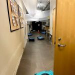 ServiceMaster Restoration Services - Lincoln City