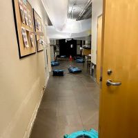 ServiceMaster Restoration Services - Lincoln City ico