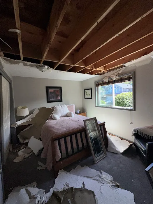 Disaster Master Picture 6