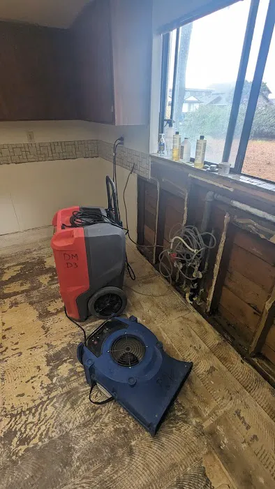 Disaster Master Picture 2