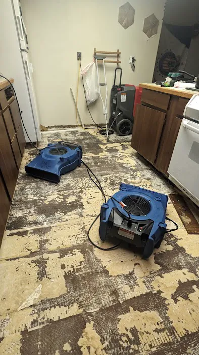 Disaster Master Picture 1