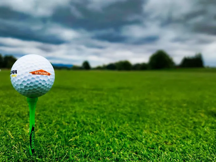 SERVPRO of Benton and Linn Counties Picture 2