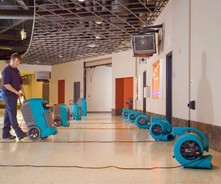 ServiceMaster Restoration & Cleaning Services - Corvallis