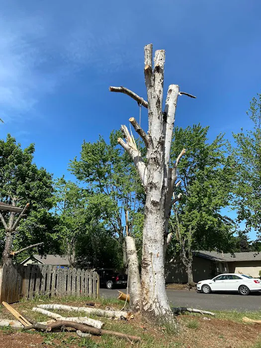 United Structures | Fencing | Restoration | Tree Service Salem Picture 5