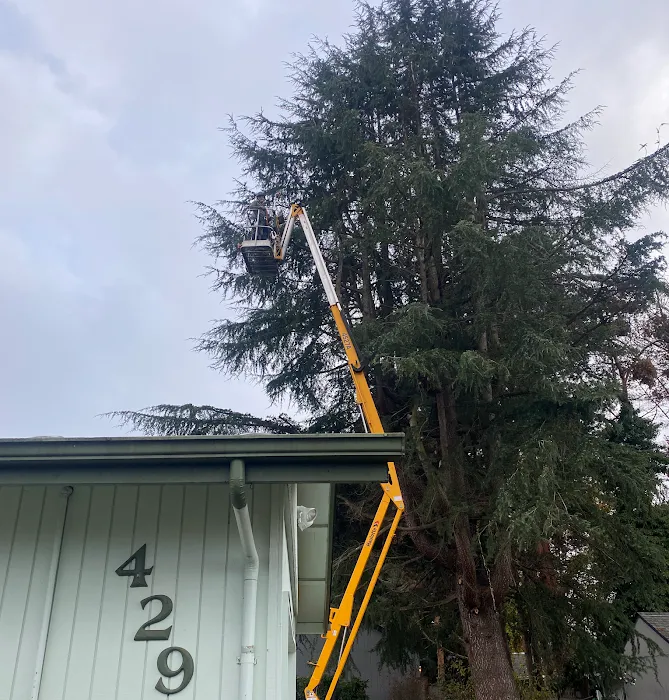 United Structures | Fencing | Restoration | Tree Service Salem Picture 9