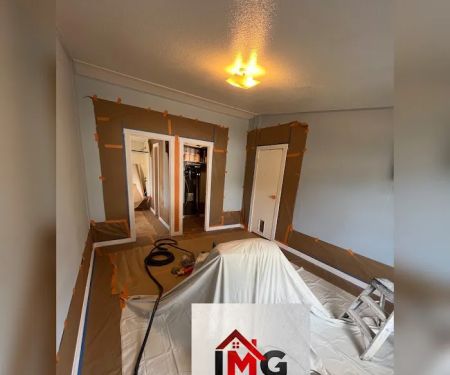 IMG REMODELING LLC
