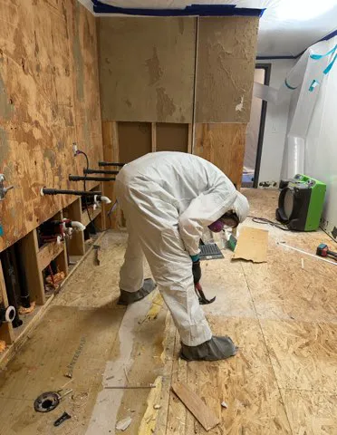 SERVPRO of Lane County Picture 4