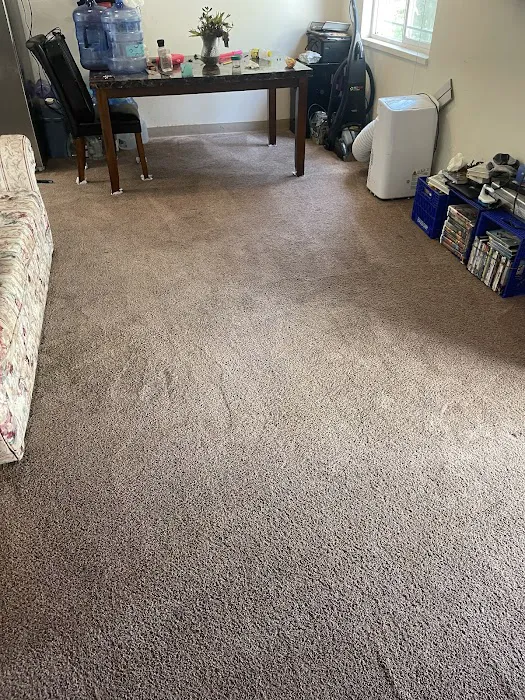 Stanley Steemer Picture 10