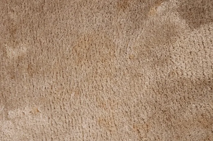 Stanley Steemer Picture 7