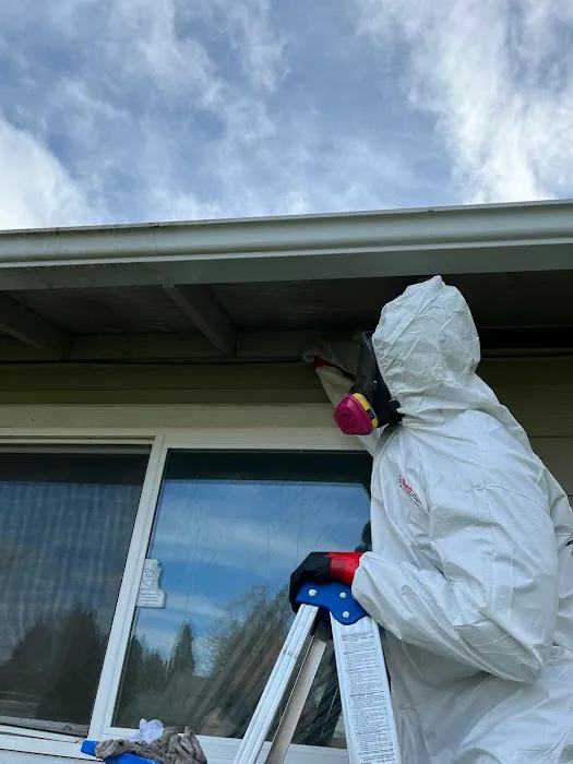 PuroClean of Eugene Picture 6