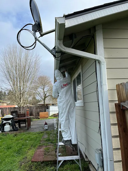 PuroClean of Eugene Picture 7