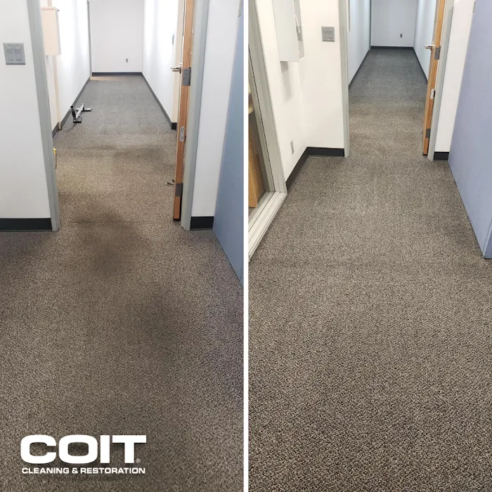 COIT Cleaning and Restoration Picture 4