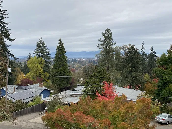 Ace Home Services Picture 5