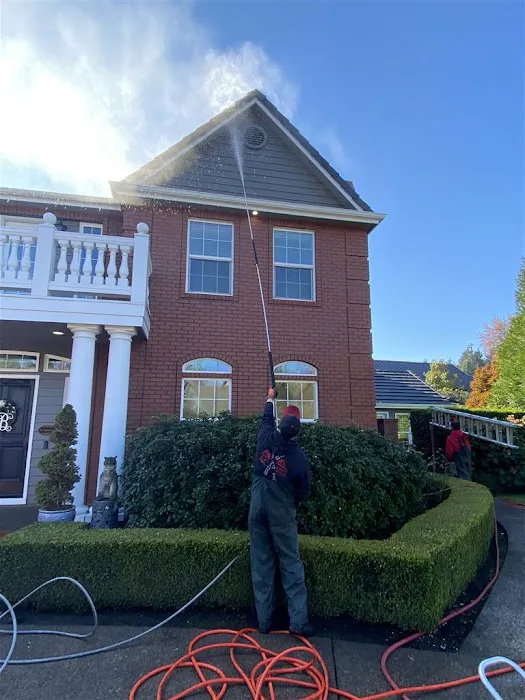 Ace Home Services Picture 3