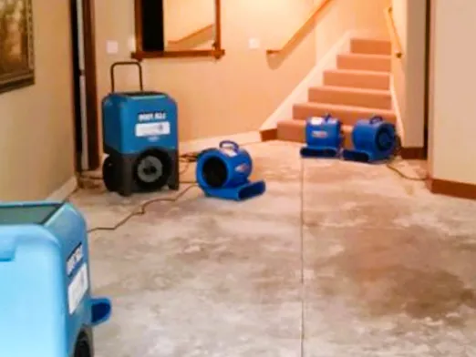 Moldav Damage Repairs Picture 3