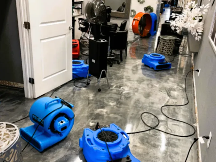 Moldav Damage Repairs Picture 6