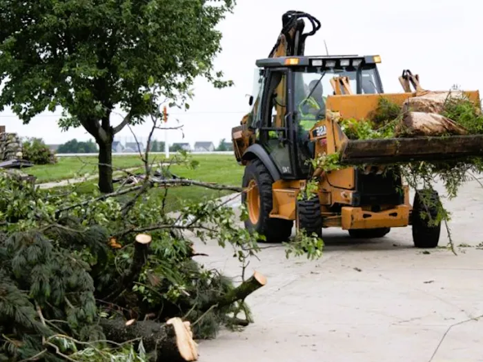 Moldav Damage Repairs Picture 4