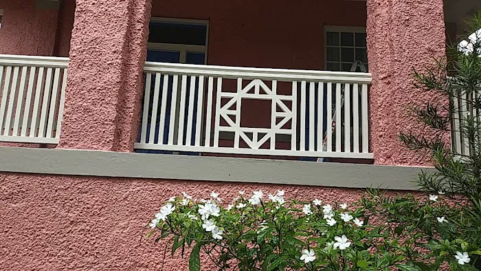 Adam Alan Paint-New Orleans Picture 7