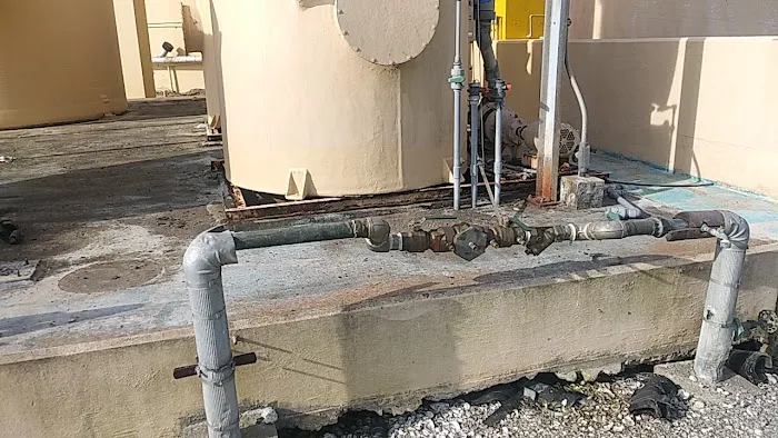 Adam Alan Paint-New Orleans Picture 8