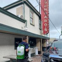 Nola Disinfect Crime Scene & Emergency Clean Up Services ico