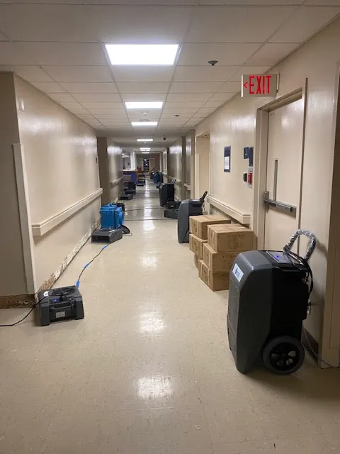 Dry Pro Restoration of New Orleans Uptown & Carrollton Picture 6