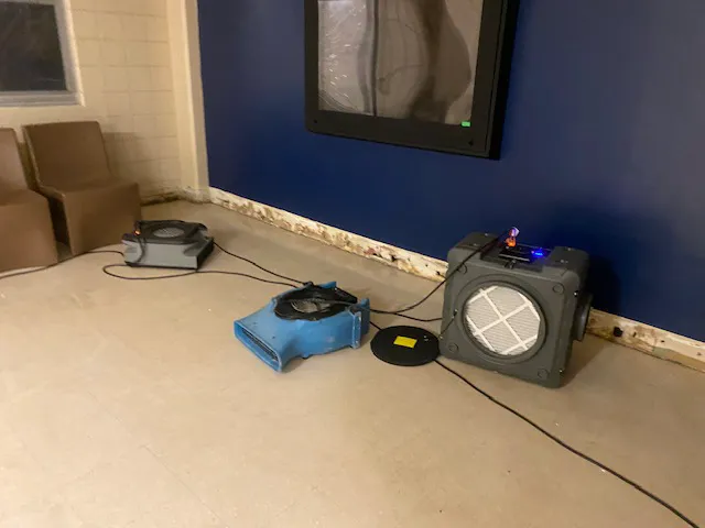 Dry Pro Restoration of New Orleans Uptown & Carrollton Picture 4